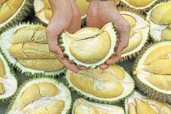 Here's how to dine on durian wisely