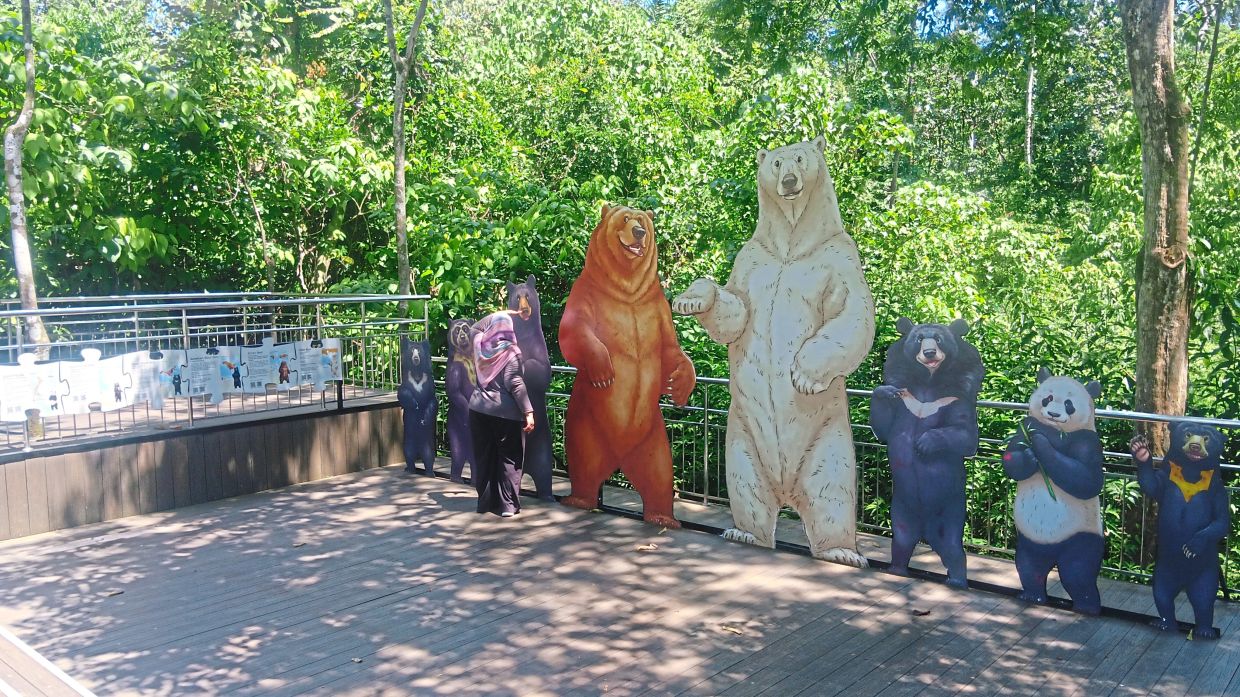 A visitor looking at cutouts of the world’s bears, including the sun bear (right), at BSBCC.