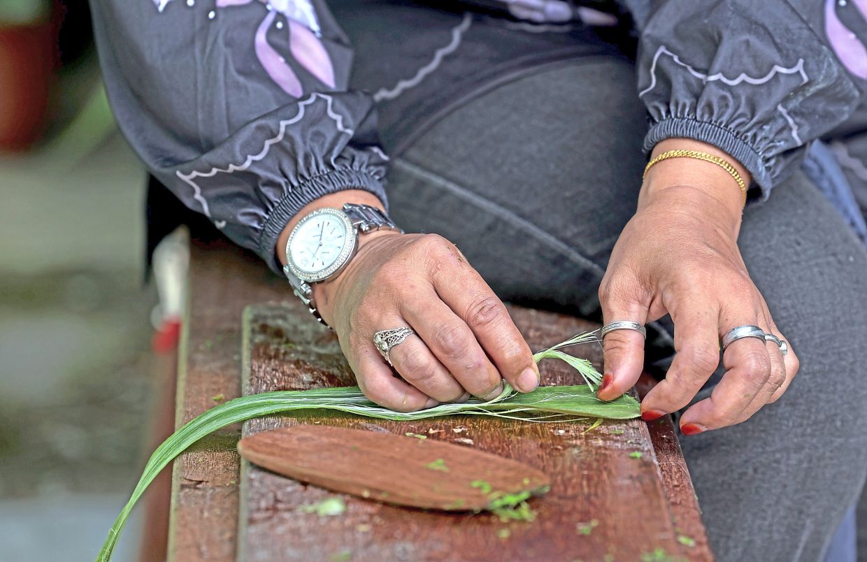 Munah demonstrating the technique involved in extracting fibres from pineapple leaves.