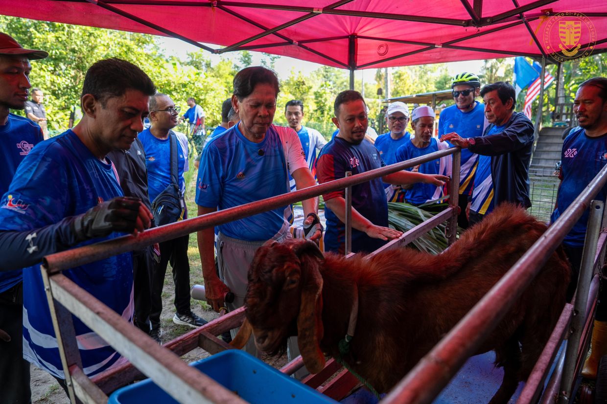 Tun Ramli takes a closer look at a goat during a state programme. – Photo courtesy of Unit Komunikasi Korporat Pejabat Yang di-Pertua Negeri Pulau Pinang