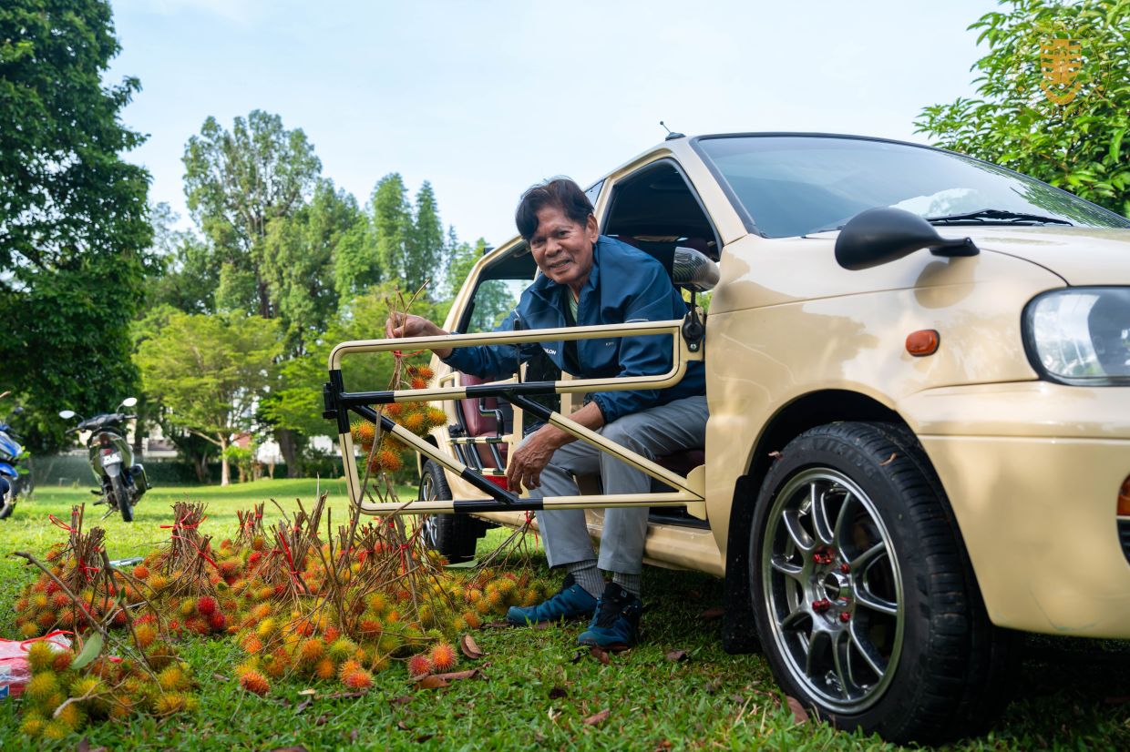 Ramli showcasing a fresh harvest of rambutans at his Seri Mutiara orchard, captured alongside his custom-modified vehicle; and (below) pausing to pluck fresh fruits during one of his cycling trips around the state.