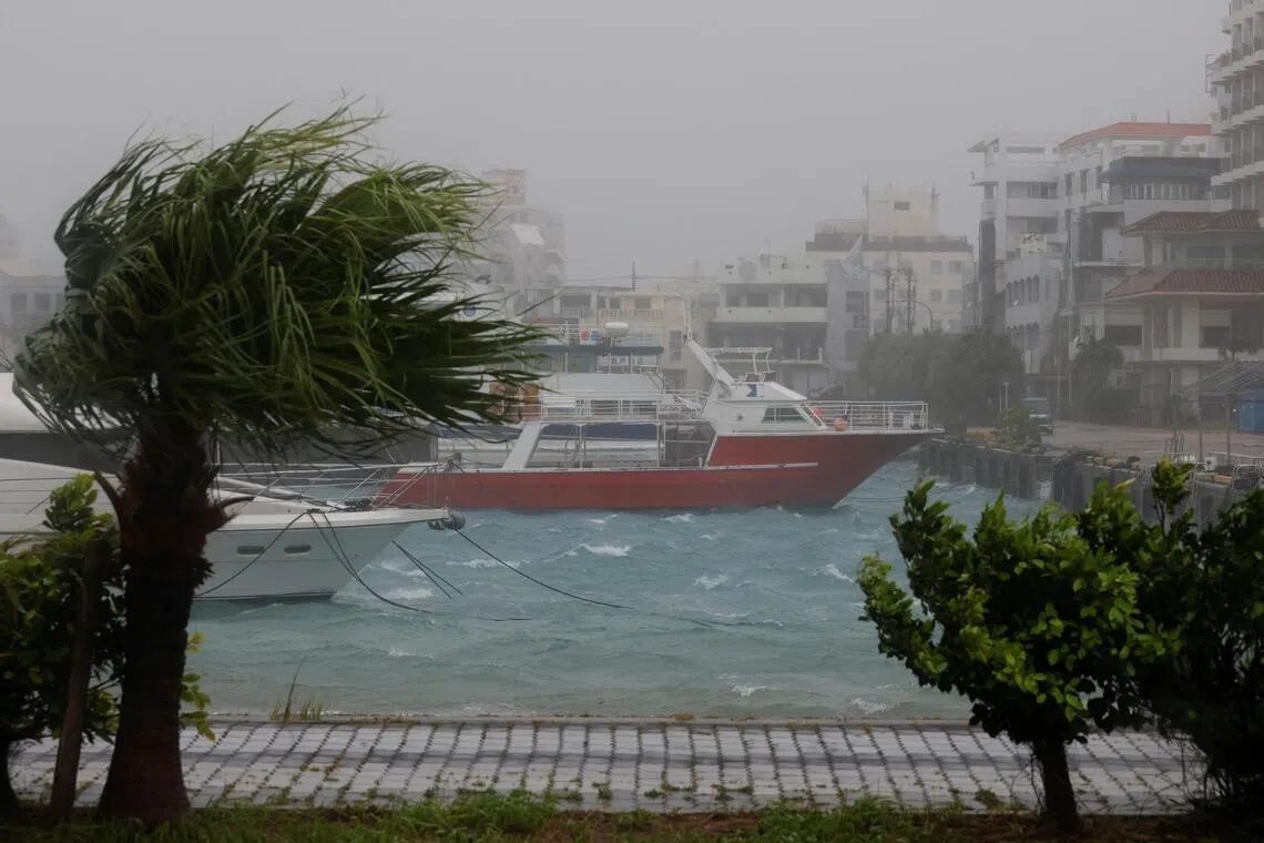 Strong wind rattles trees at a port in Ishigaki, Okinawa Prefecture, as Typhoon Bavi passes through on July 11, 2026. - Photo: Reuters