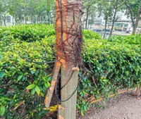 A street-level hazard