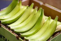 Plantains could be your new best friend, whether baked, fried, or in a curry