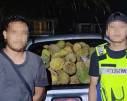 GOF detains man, seizes 700kg of durian in Rantau Panjang raid