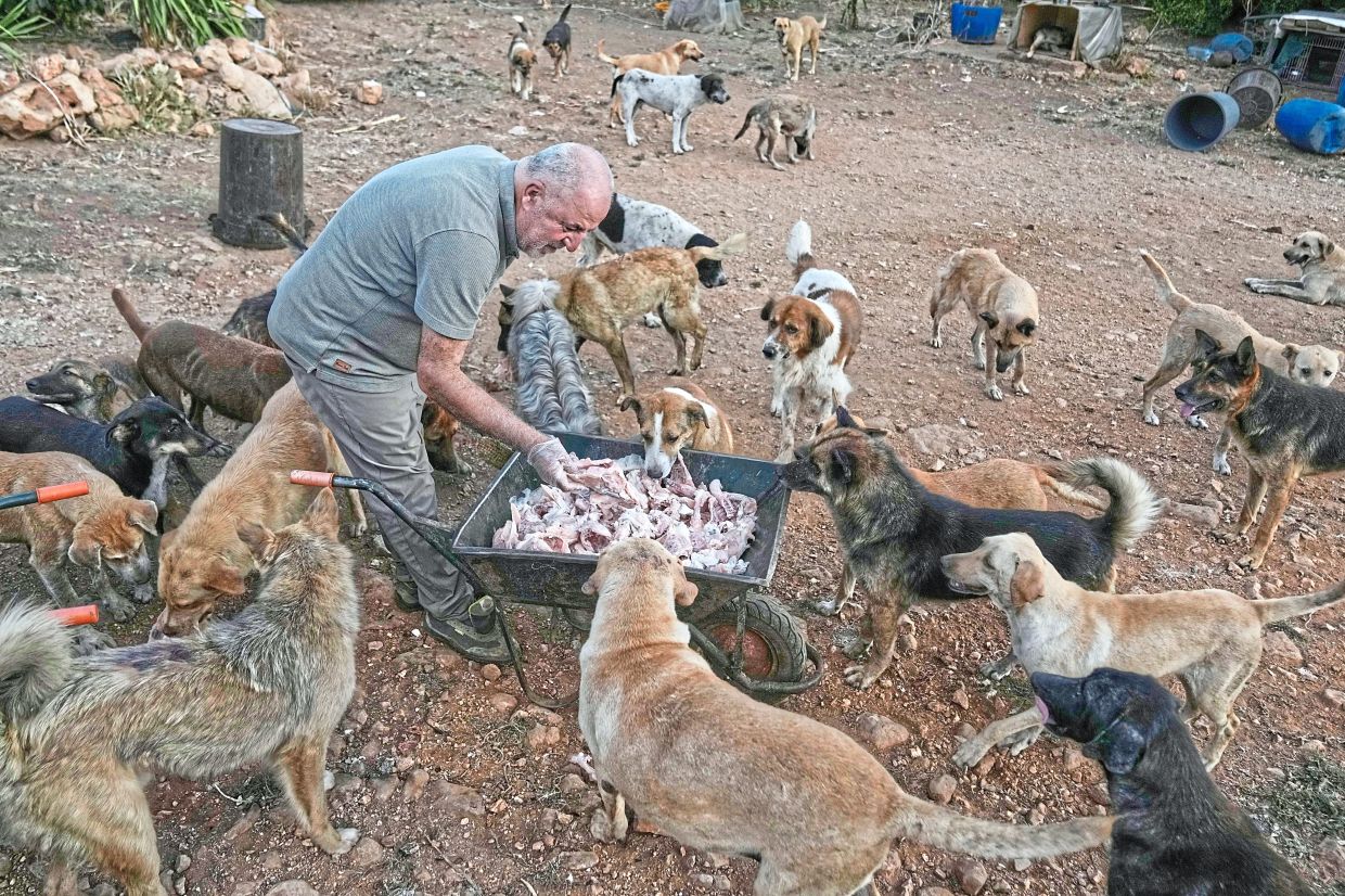 Hussein feeding the dogs at his animal shelter in the village of Kfaroue, near Nabatiyeh.