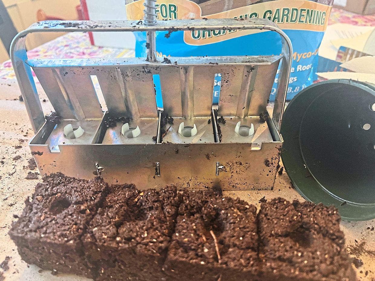 Freshly made soil blocks and a four-cell, hand-held soil blocker.