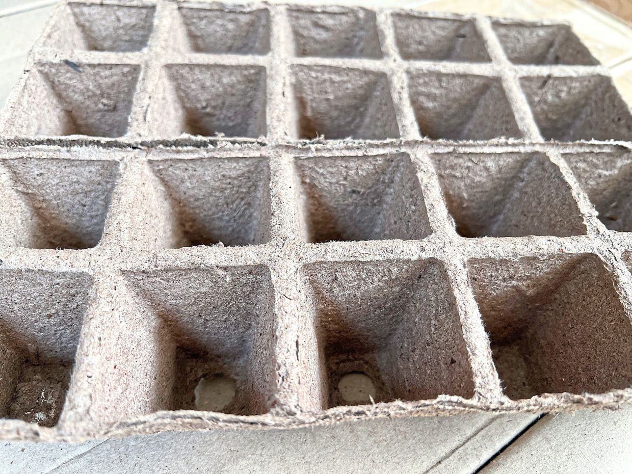 Strips of plastic-free, peat-based seed-starting cells.