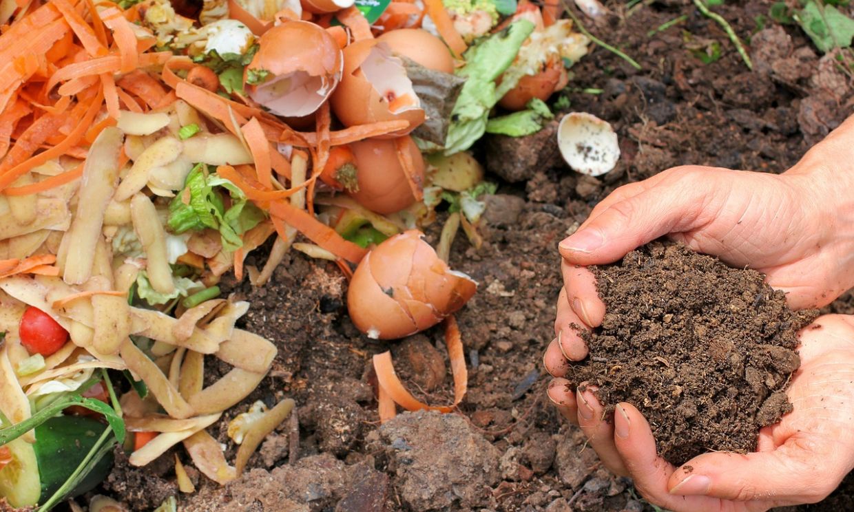 Before starting, decide whether you want an open or contained pile. Getting compost bins and tumblers might be worth it to you if you’re concerned about aesthetics. — Filepic