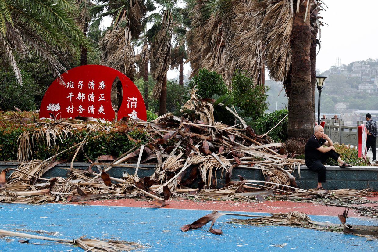 A person sits beside fallen palm leaves after Typhoon Bavi passed through the coastal village of Diaocaocun, Taizhou, Zhejiang province, China, July 12, 2026. -- Photo: REUTERS/Go Nakamura