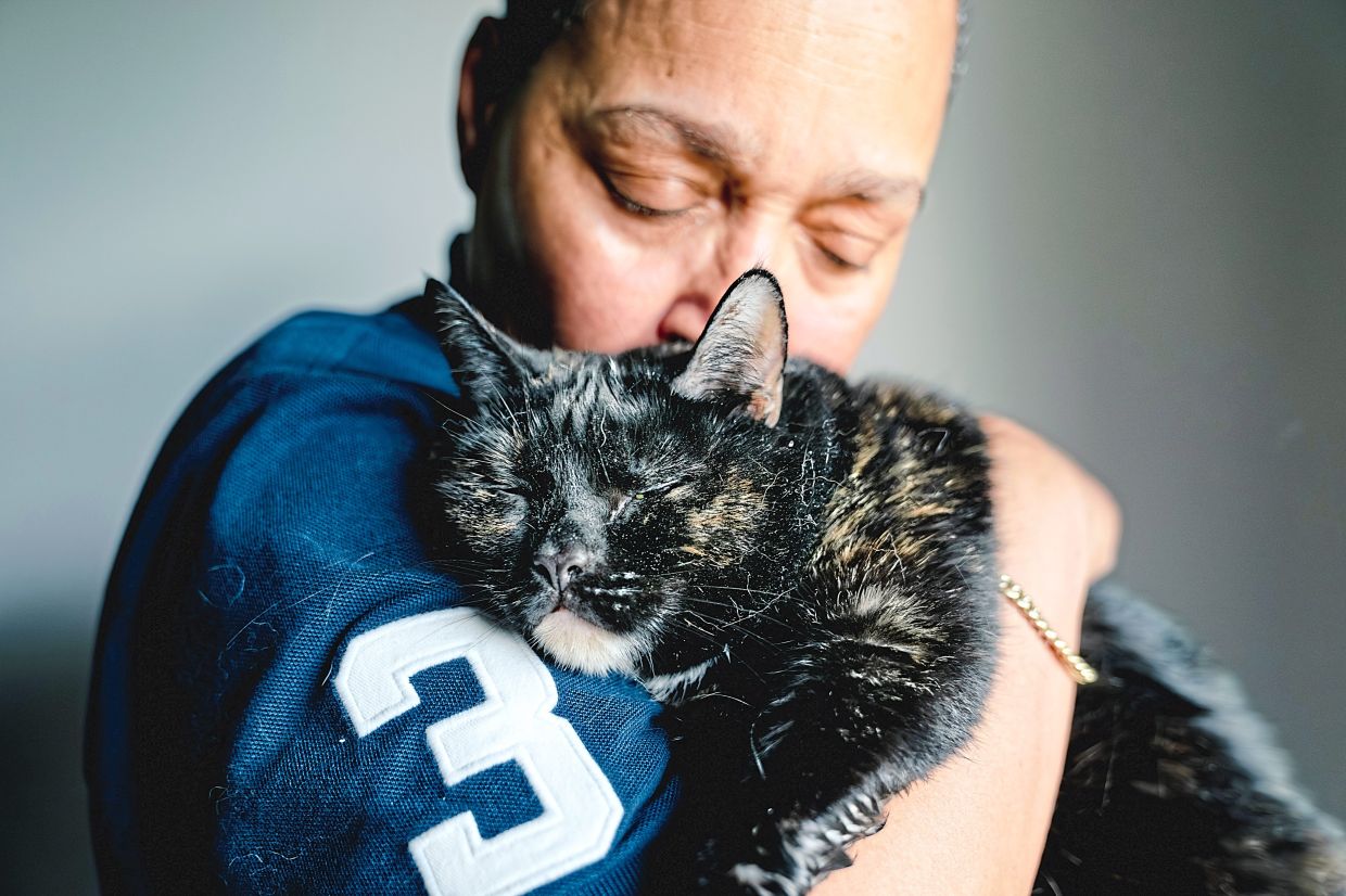 More shelters in the US are making room for four-legged friends