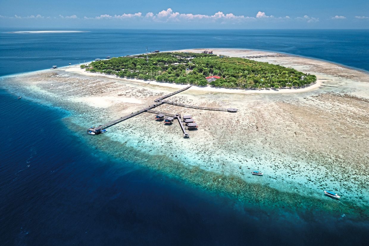 An aerial view of Pom Pom Island and its fringing reefs.