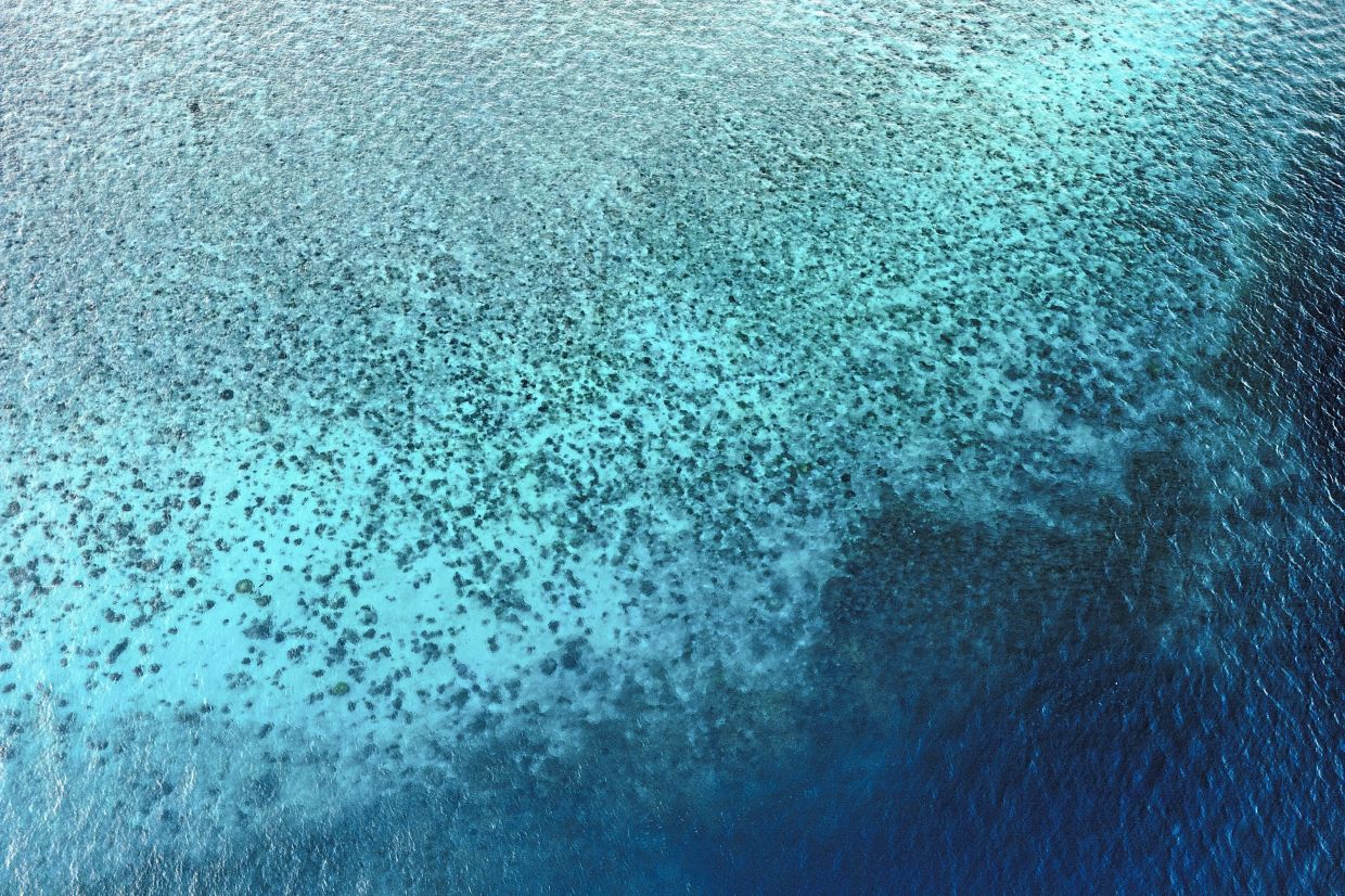 An aerial view of a section of the reef slope of Pom Pom Island, visible through the surrounding shallow ocean waters.