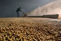 Is China’s biggest daily US soybean order confirmation of Xi-Trump summit pact?