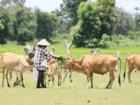 Laos moves to accelerate rural development, reduce poverty