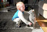 Living with cats does not worsen asthma in children, study shows
