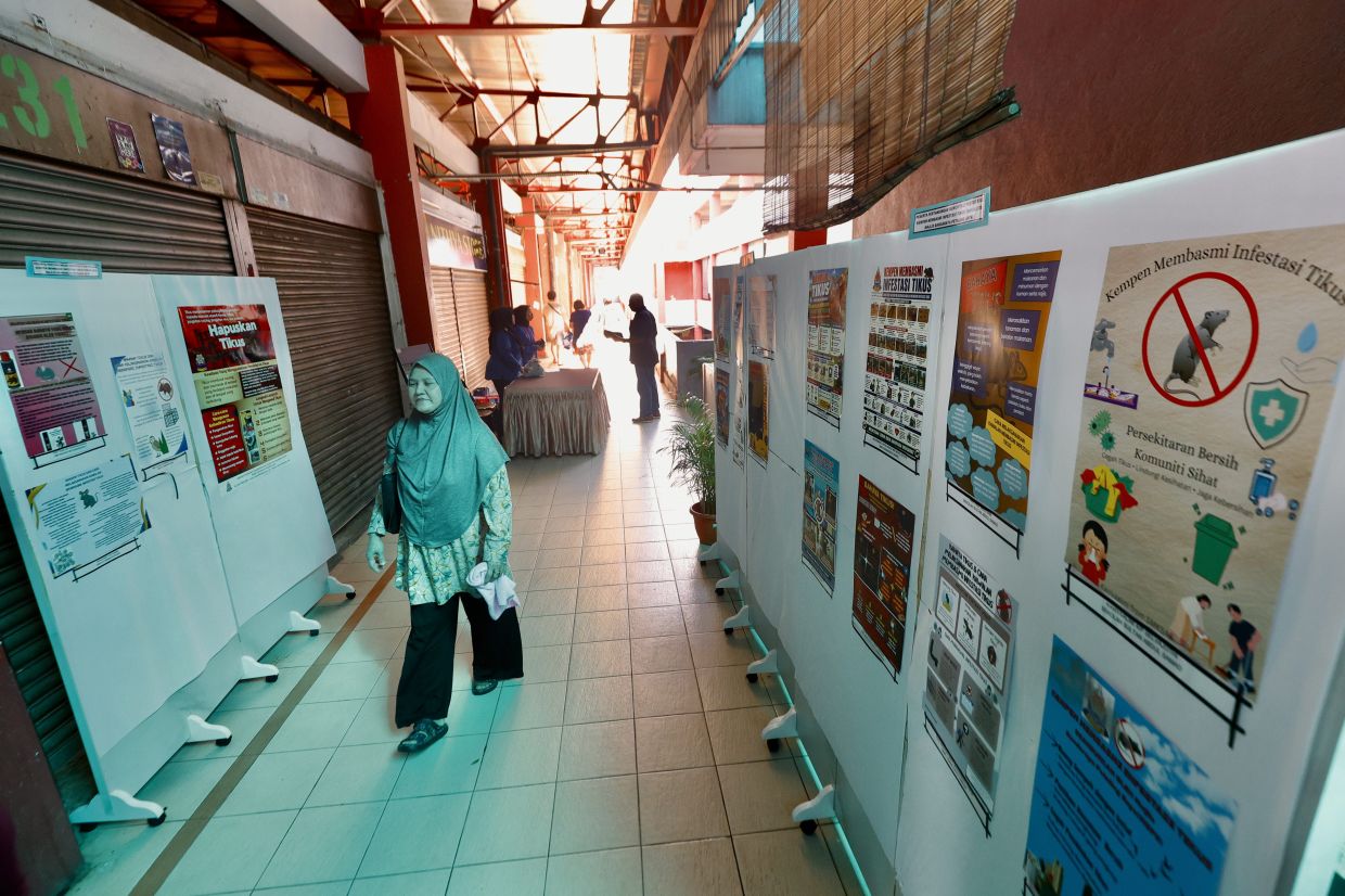 Posters highlighting the dangers of rodent infestation.