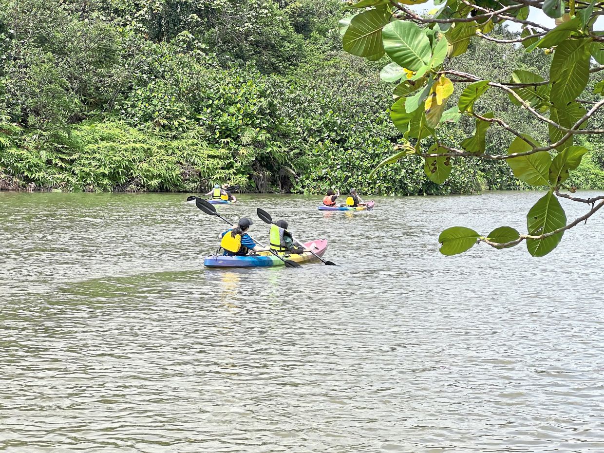 While you’re at Sireh Park, you can go kayaking at Raptor Nest.