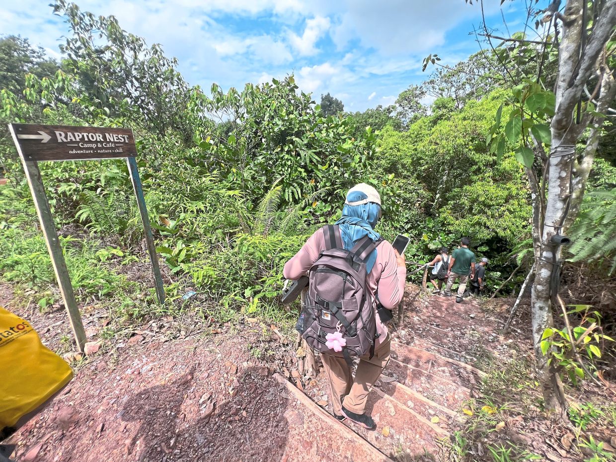 Raptor Nest is a good for thrill-seeking adventurers.