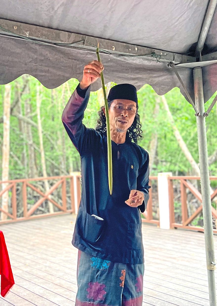 Planting mangroves manually can help increase the chance of survival of the trees, Azman said.