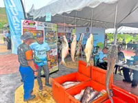 Netting invasive fish in Kajang lake