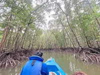 This association lets you plant a mangrove tree in Johor