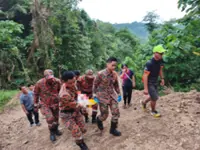 Man injured by falling tree during land clearing work