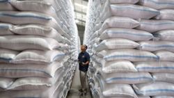 Indonesia continues talks with Malaysia and Singapore on proposed rice exports
