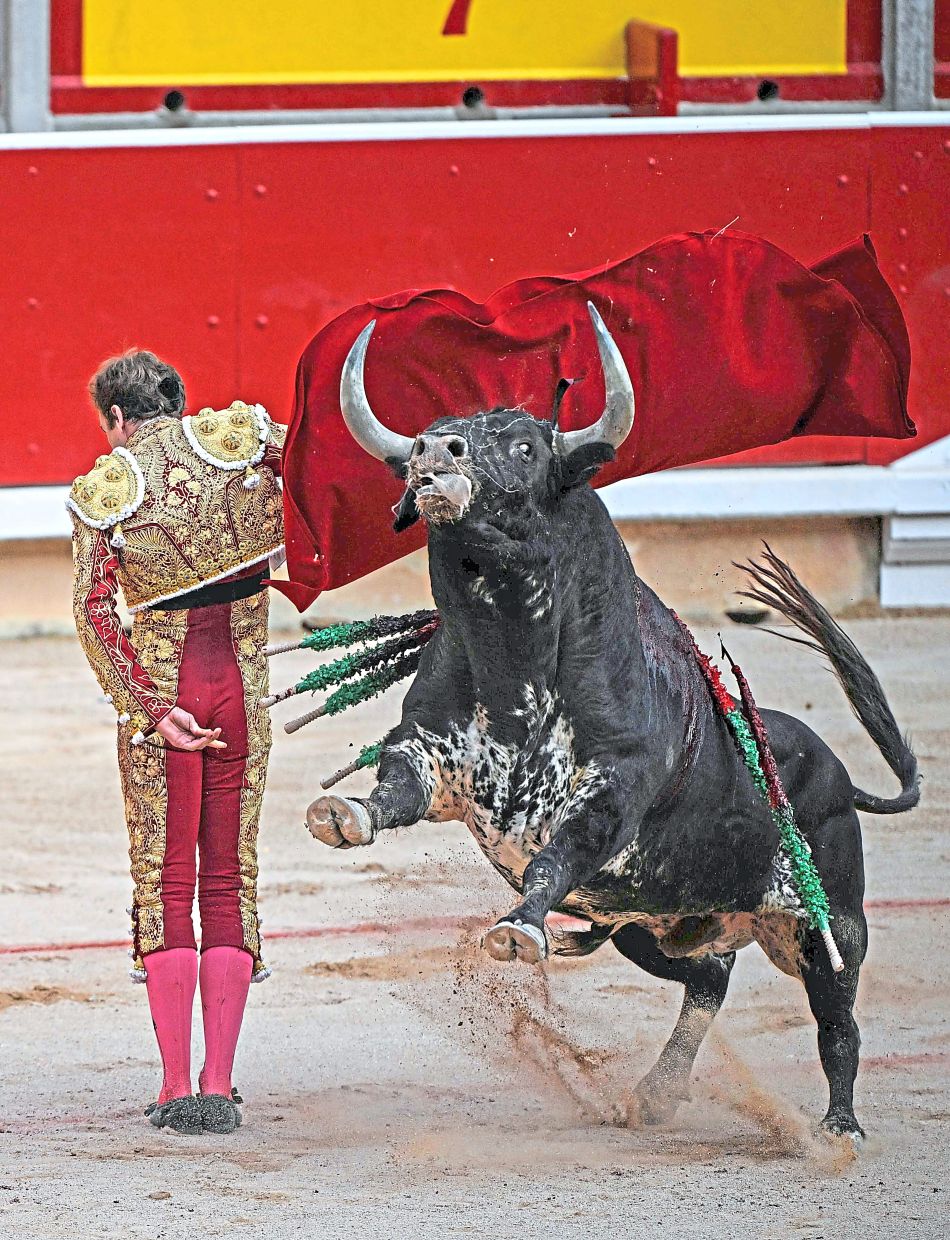 3. Spanish matador Roman displays nerves of steel as he confronts a Jose Cebada Gago fighting bull during a bullfight at the San Fermín festival. — AFP