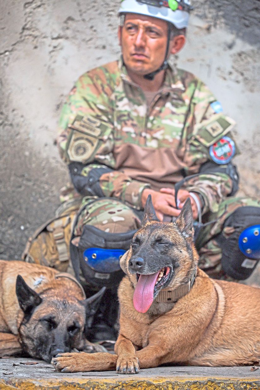 10. An Argentine military search-and-rescue member takes a brief rest alongside rescue dogs after hours of recovery operations. — Reuters