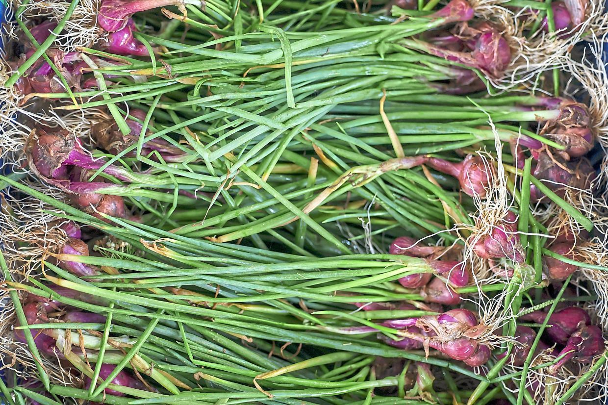 Ministry targets 30% shallot self-sufficiency by 2030 under RM31.5mil program