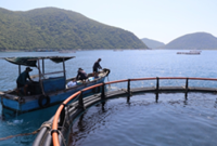 Stronger incentives drafted to unlock Vietnam's marine economy