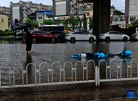 Typhoon Bavi Forces 365,000 to Flee as Floods Swamp Northeast China