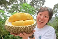 Young couple leans on data to protect Penang’s native varieties
