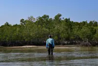Protecting the protectors: racing to save Philippine mangroves