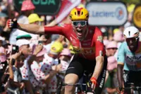 Cycling-Waerenskjold claims surprise win in stage 11 of Tour de France