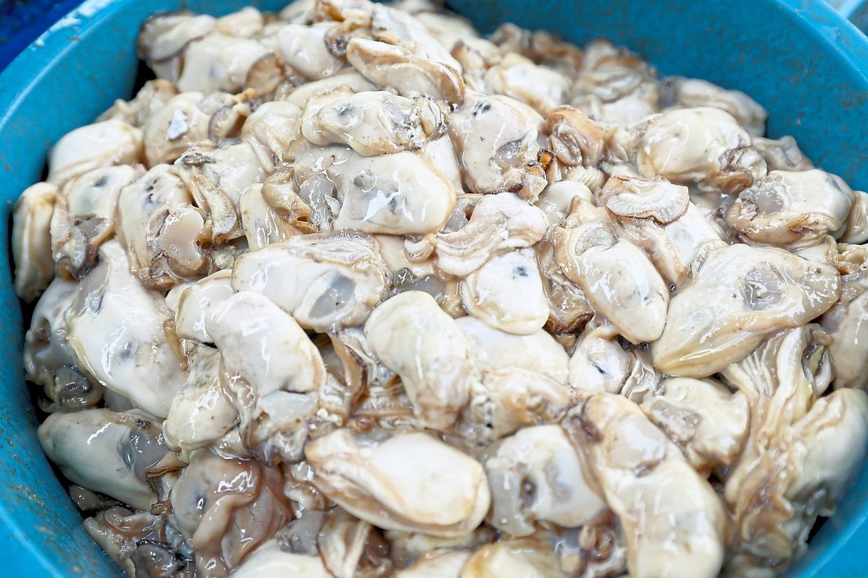 The white oysters have different flavour profiles, depending on where they are collected.