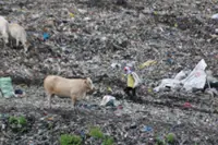 Indonesia names consortia for second batch of waste projects