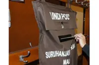 Speed up domestic postal voting process, say reform groups