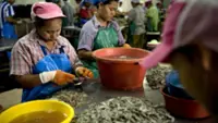 Thailand extends work permits for migrant workers from Laos, Myanmar, Vietnam