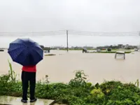 Guangxi floods hit jasmine sector hard