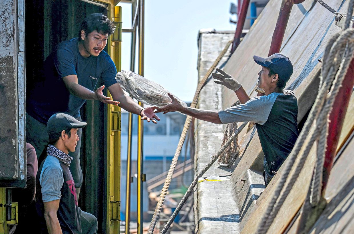 Catch of the day: (Left) Crew members unloading their catch at the Nusantara Fishing Port in Kejawan-Cirebon, West Java.— AFP