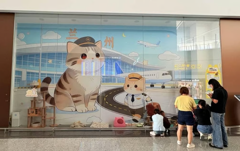 Even through the glass barrier, delighted passengers love pausing to interact and play with the adorable cats. - Handout