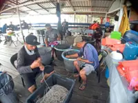 Coastal fishermen reeling from fuel quota cuts