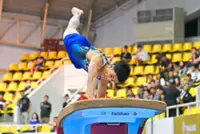 After many hurdles, Sharul aims to vault towards glory