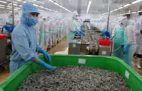 Vietnam’s largest seafood export market is China