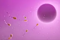 Infertility: Drugs that help release eggs for fertilisation