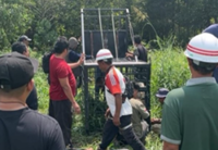 Tiger mauls another victim in Indonesia's Riau region