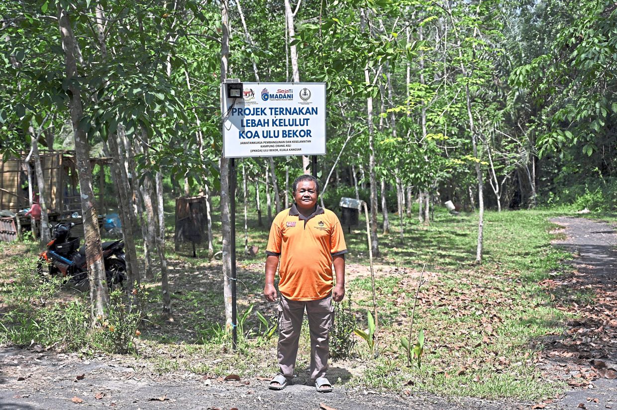 Pandak Uda in front of a signpost for the Kampung Orang Asli (KOA) Ulu Bekor stingless bee farm.