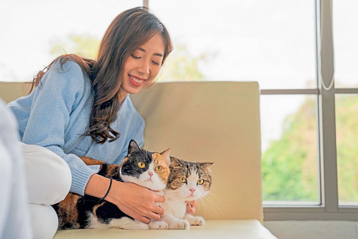 Animals can play an important role in therapy, with studies showing that interaction with them may support people with conditions such as autism, anxiety and dementia.